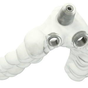 Ferula chirurgica Ferula chirurgica